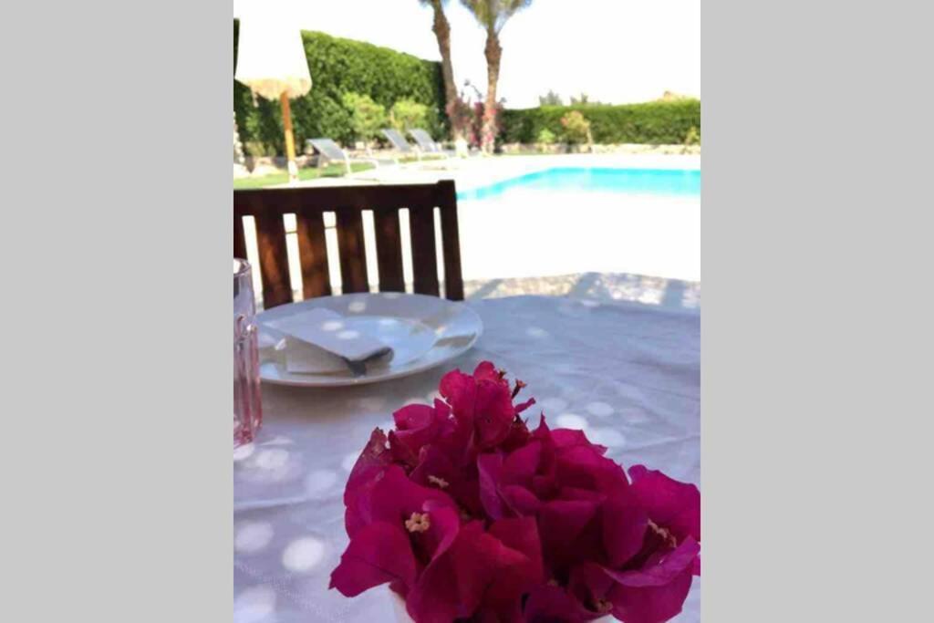 וילה With 5 Bedrooms & 4 Bathrooms - Private Heated Pool הורגהדה